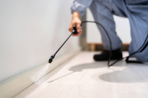 Licensed Termite Control service in Randleman, NC - Nex Pest Control