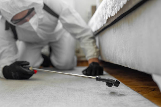 Professional Termite Control technician working in Randleman, NC