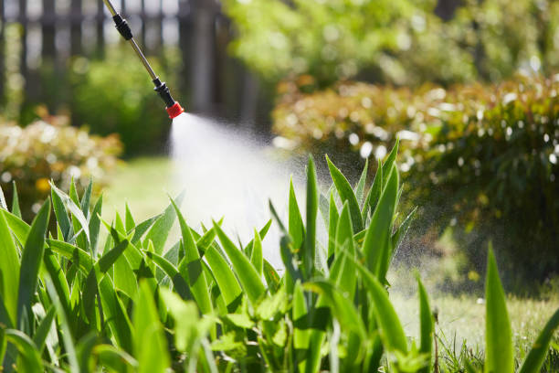 24/7 Emergency Termite Control experts in Randleman, NC