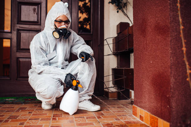 Reliable Termite Control contractor in Randleman, NC by Nex Pest Control