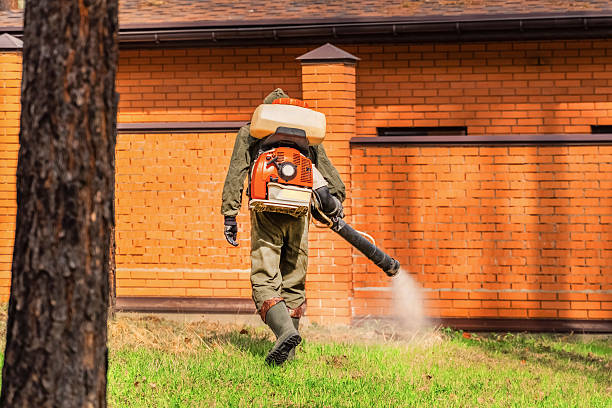 Top rated local Termite Control specialists in Randleman, NC